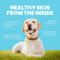 Load image into Gallery viewer, Harmony - Natural Skin Care For Dogs
