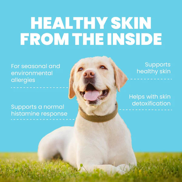 Harmony - Natural Skin Care For Dogs