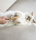 تحميل الصورة في عارض المعرض, Cats April Wood Pin Brush for Cats
