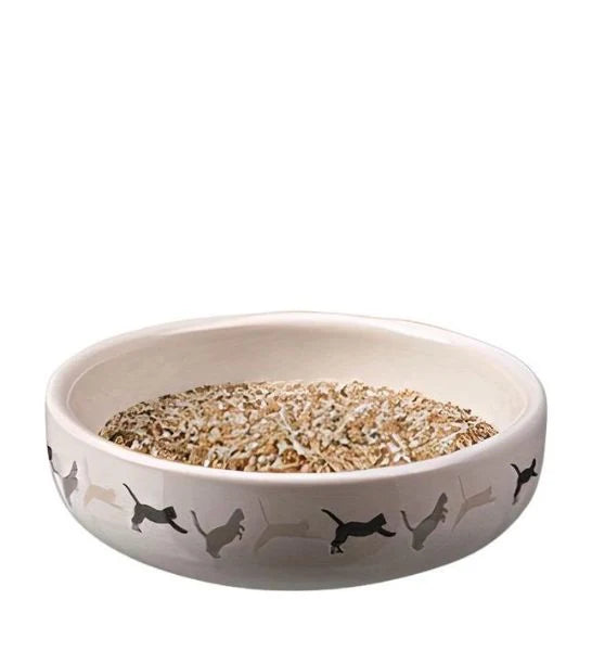 Grass in Ceramic Bowl for Cats