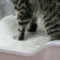 Load image into Gallery viewer, Premium Cat Litter Ultra - Scented
