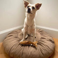 Load image into Gallery viewer, Toque Dog Bed
