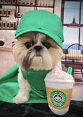 Load image into Gallery viewer, Star Pups Coffee Dog Toy Pup'kin Spice Latte
