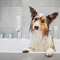 Load image into Gallery viewer, Dog Shampoo & Conditioner
