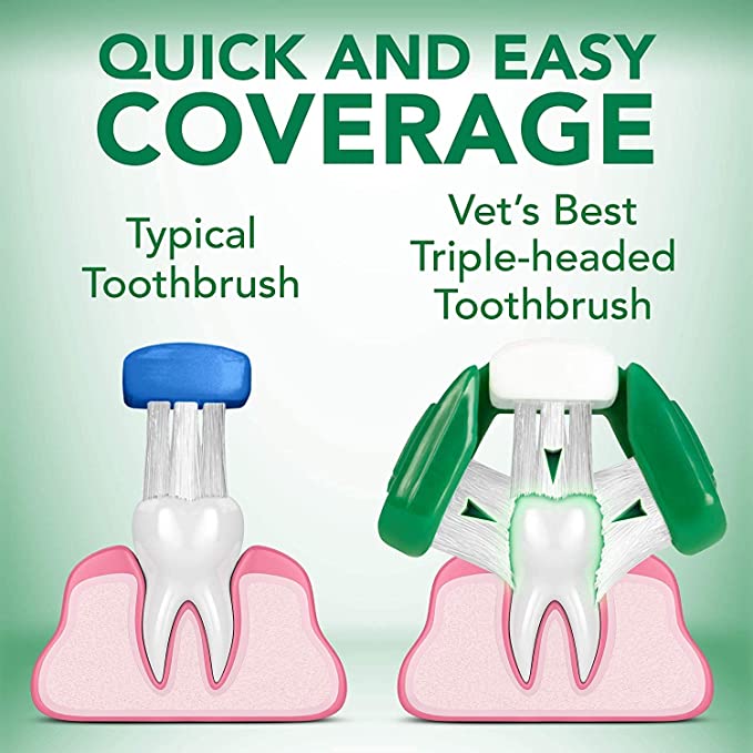Triple Headed Toothbrush for Dogs