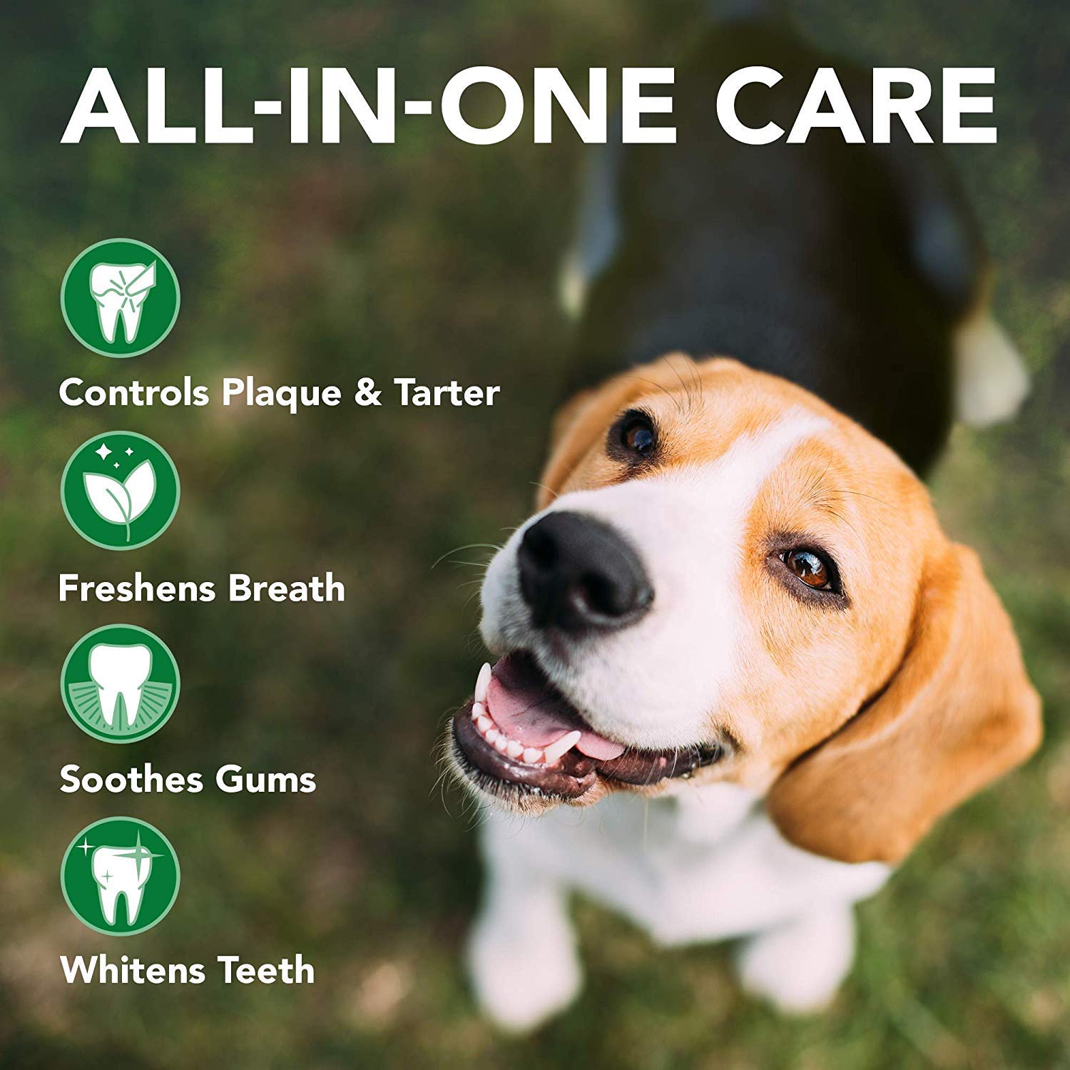 Dental care kit for Dogs