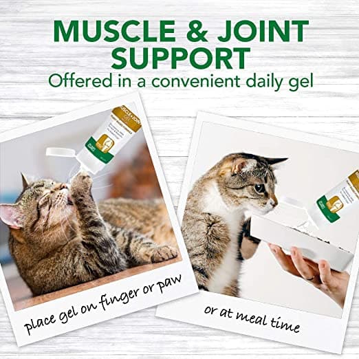 Muscle & Joint Support Gel
