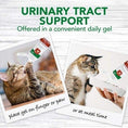 Load image into Gallery viewer, Urinary Tract Support Gel
