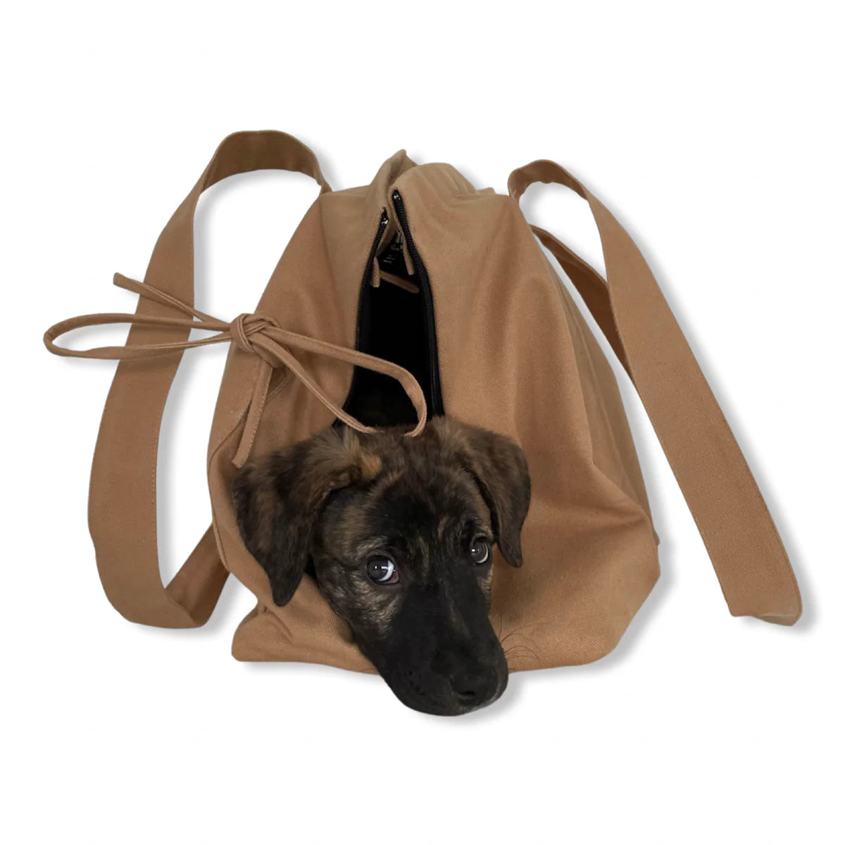 Marsu Tote Bag & Pet Carrier