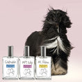 Load image into Gallery viewer, Premium Mrs Lily Perfume for Female Dog
