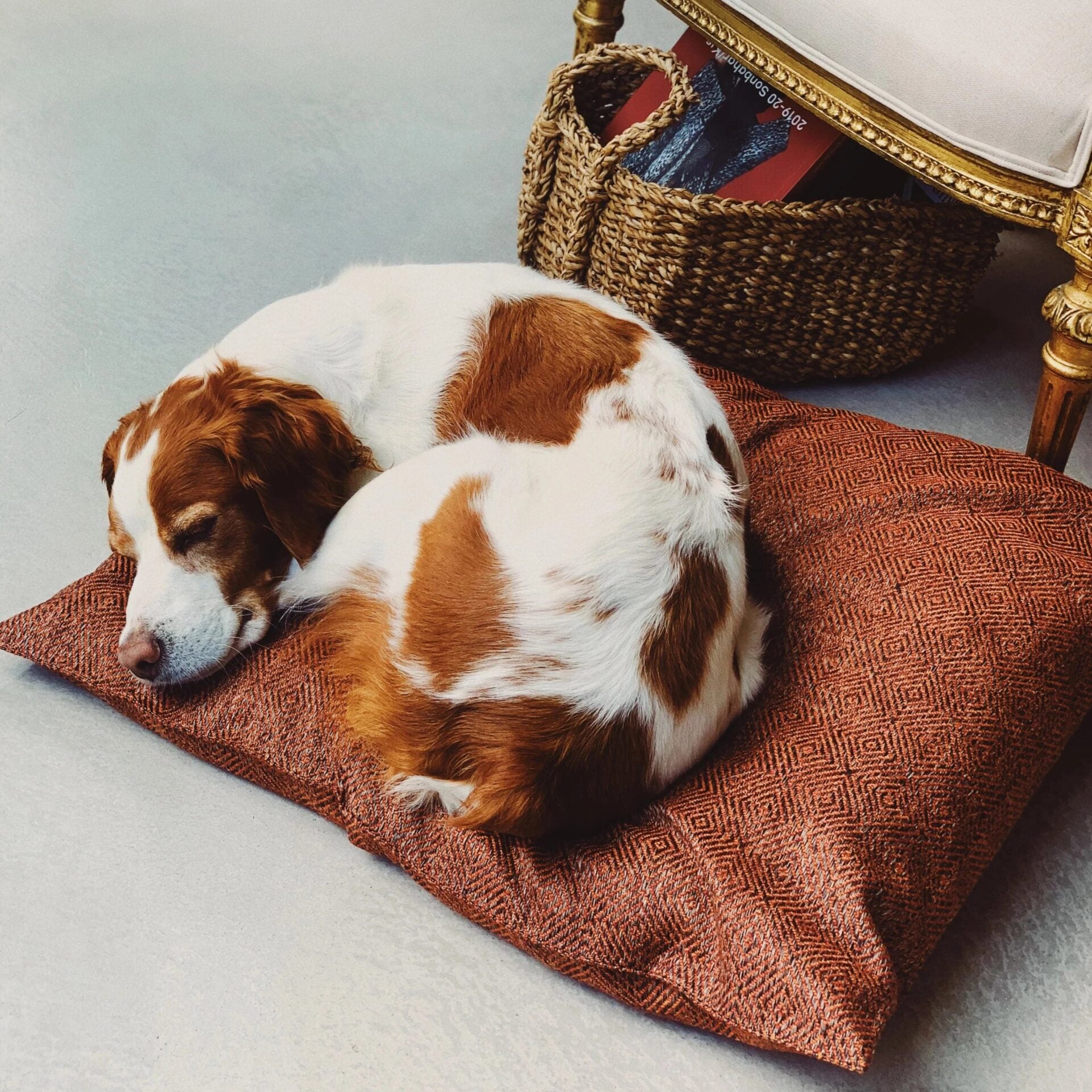 Makeba Pillow