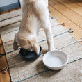 Load image into Gallery viewer, BAMBOO - Stylish Dog Bowl
