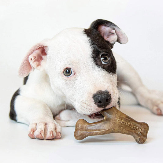 Puppy 2-Pack Dental Chew/Wishbone (Tiny)