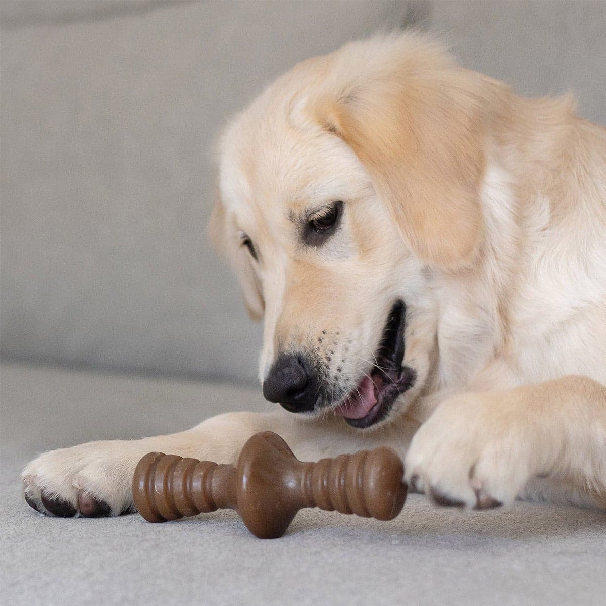 Zaggler Dog Chew – Peanut