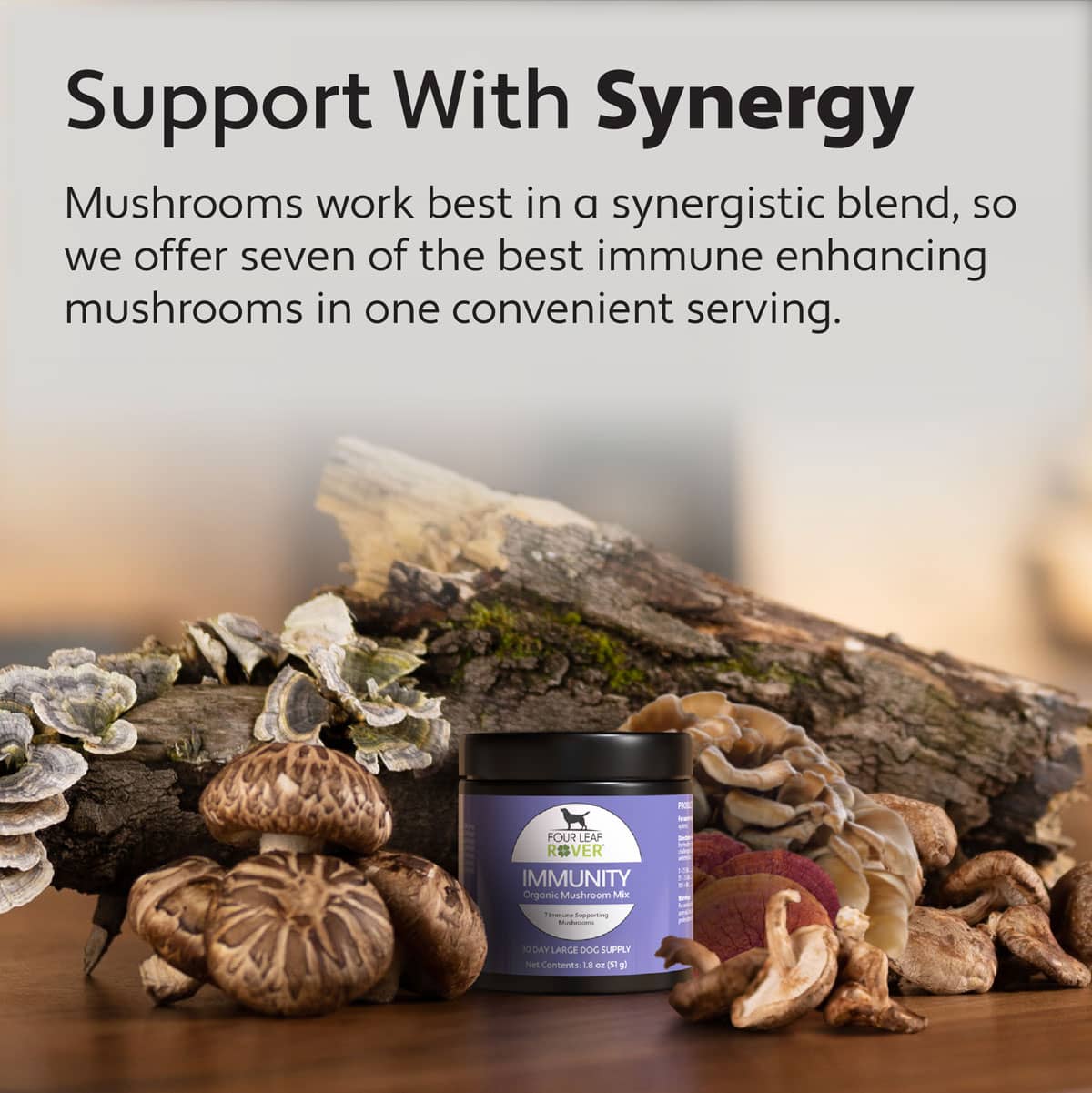 Immunity - Organic Mushroom Mix