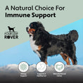 Load image into Gallery viewer, Bovine Colostrum - Immune Support For Dogs

