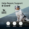 Load image into Gallery viewer, Gut Guard - For Dogs With Irritated, Leaky Guts
