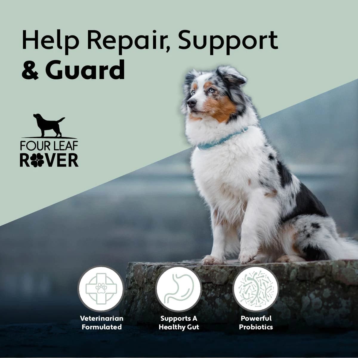 Gut Guard - For Dogs With Irritated, Leaky Guts