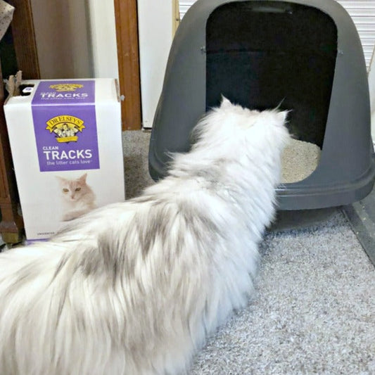 Clean Tracks Multi-Cat Unscented Clumping Clay Litter