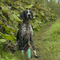 Load image into Gallery viewer, Dog Aloe Vera Shampoo

