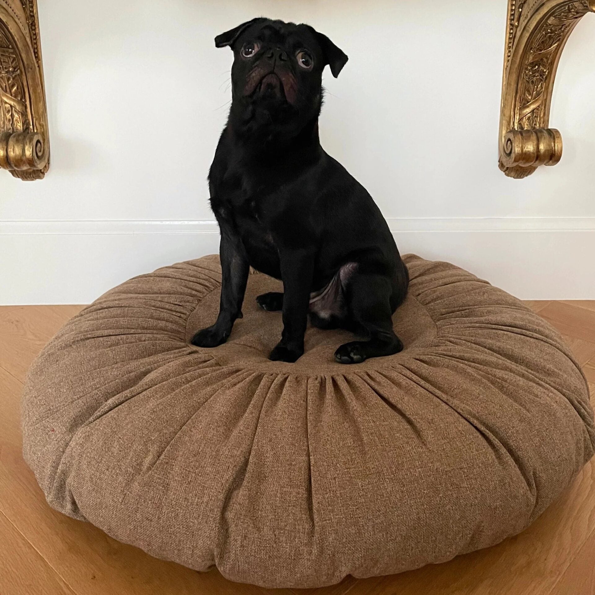 Toque Dog Bed