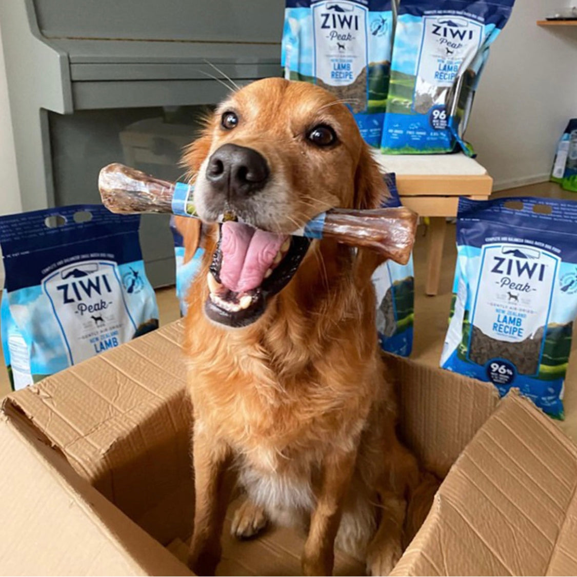 Ziwi Peak Air-Dried Lamb for Dogs