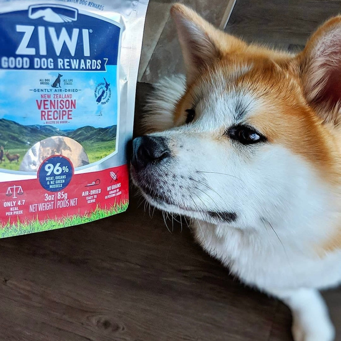 ZIWIPeak Air-Dried Venison Dog Food with 96% Venison and New Zealand Green Mussels