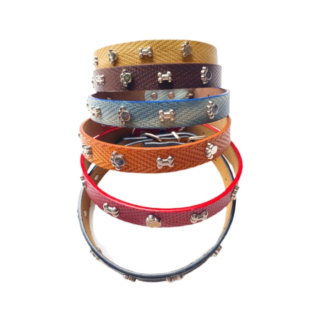 Pawsy Dog Collar