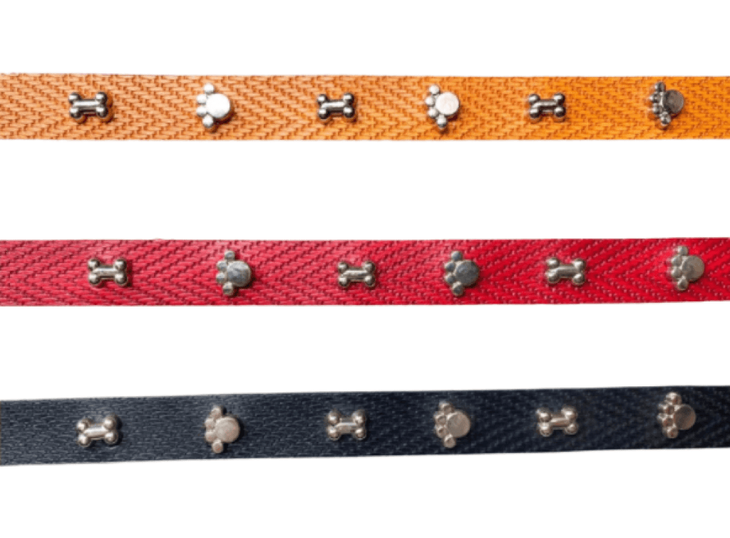 Pawsy Dog Collar