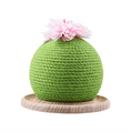 Load image into Gallery viewer, Cactus Scratch Ball
