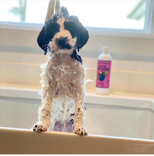 Ultra-Mild Puppy Shampoo, Wild Cherry, Tearless & Extra Gentle