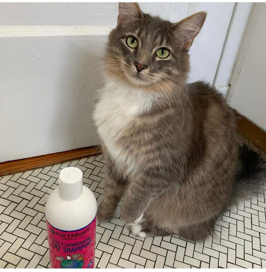 2-in-1 Conditioning Cat Shampoo - Light Wild Cherry