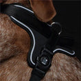 Load image into Gallery viewer, Memopet Brown Dog Harness
