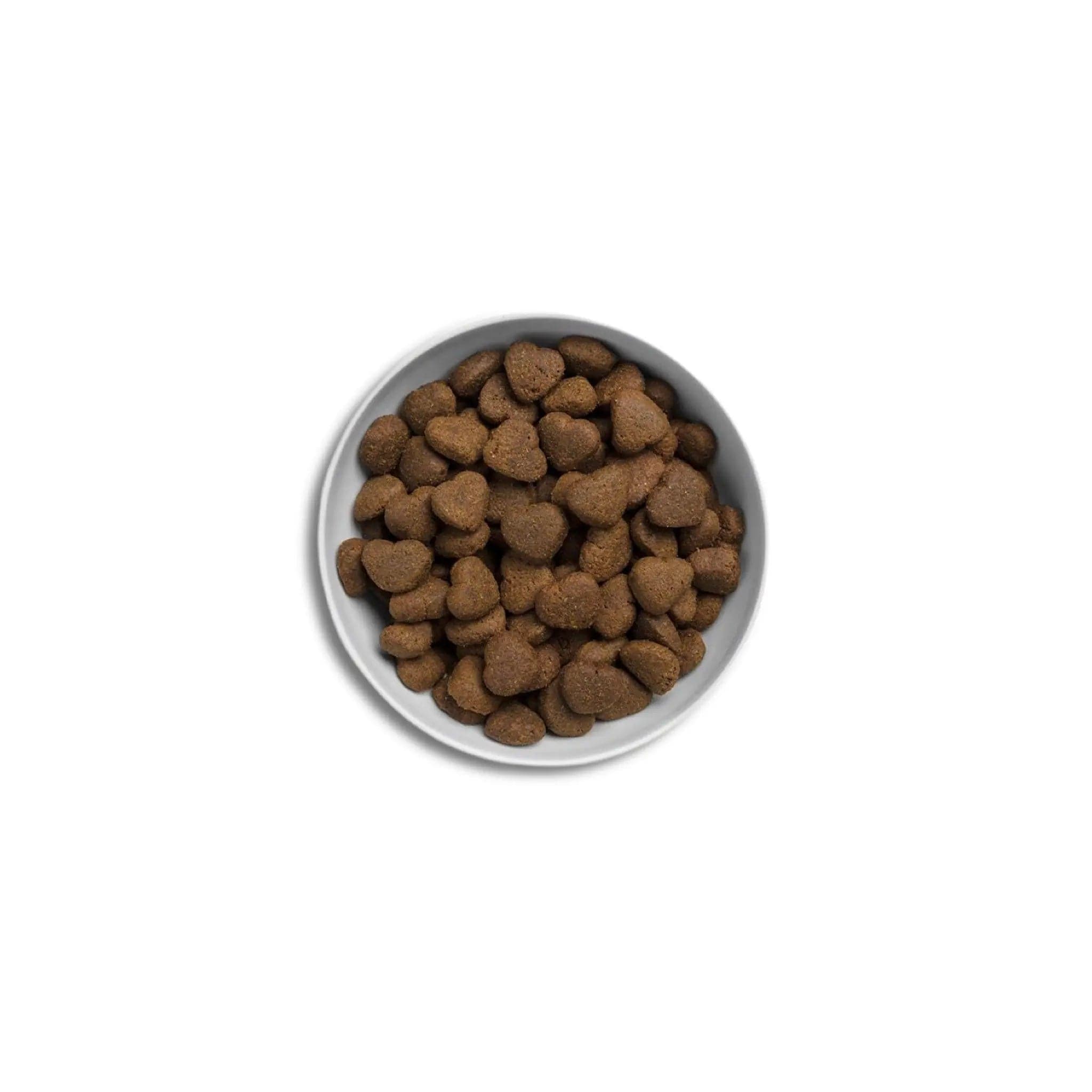 Canagan Large Breed Chicken Dog food