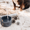 Load image into Gallery viewer, Foldable Pet Feeding Bowl
