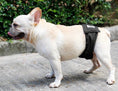 Load image into Gallery viewer, Male Dog Sanitary Pants
