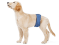 Load image into Gallery viewer, Male Dog Sanitary Pants
