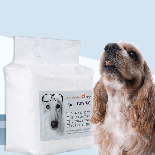 Female Dog Diapers