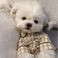 Load image into Gallery viewer, Pet Pajama
