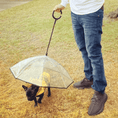 Load image into Gallery viewer, Dog Umbrella
