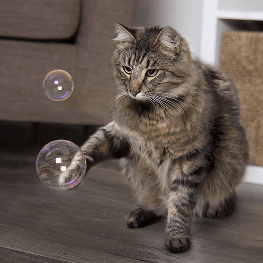 Bubble Liquid Catnip