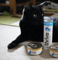 Load image into Gallery viewer, Thrive Proreward 100% White Fish Cat Treats
