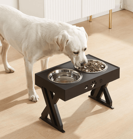 طاولة وعاء الكلب المرتفعة القابلة للتعديل