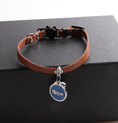 Load image into Gallery viewer, Leather Cat Collar with Pendant
