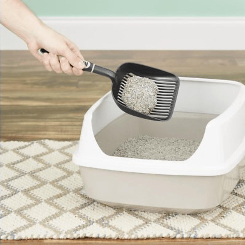 Kitten Attract Clumping Clay Cat Litter