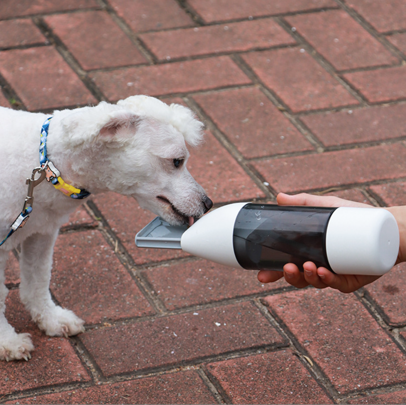 Portable Pet Water/Food Container