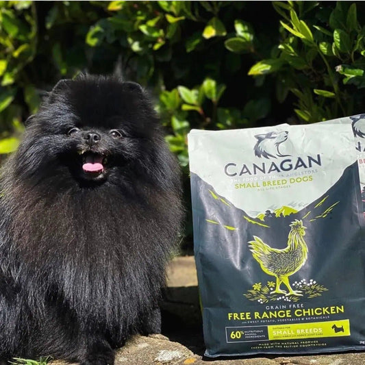 Canagan  Free-Range Chicken For Dogs 