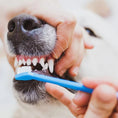 Load image into Gallery viewer, Tooth Brush for Dogs
