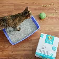 Precious Cat Respiratory Relief Unscented Clumping Clay Litter