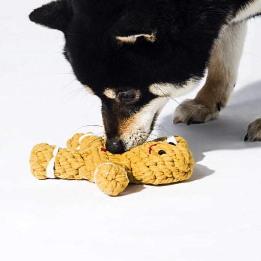 Gingerbread Man Rope Braid Chew Toys for Dogs